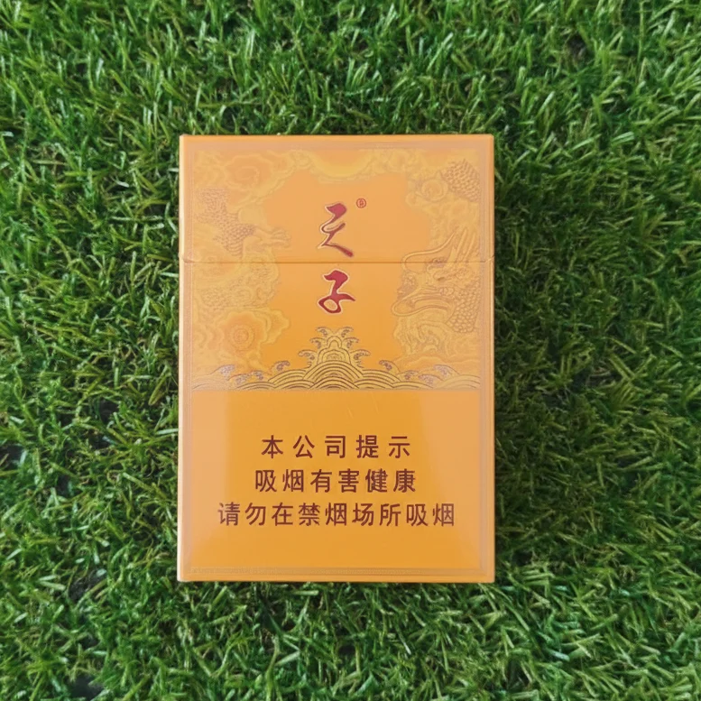 Tianzi (天子 - เทียนจื่อ) | Tianzi